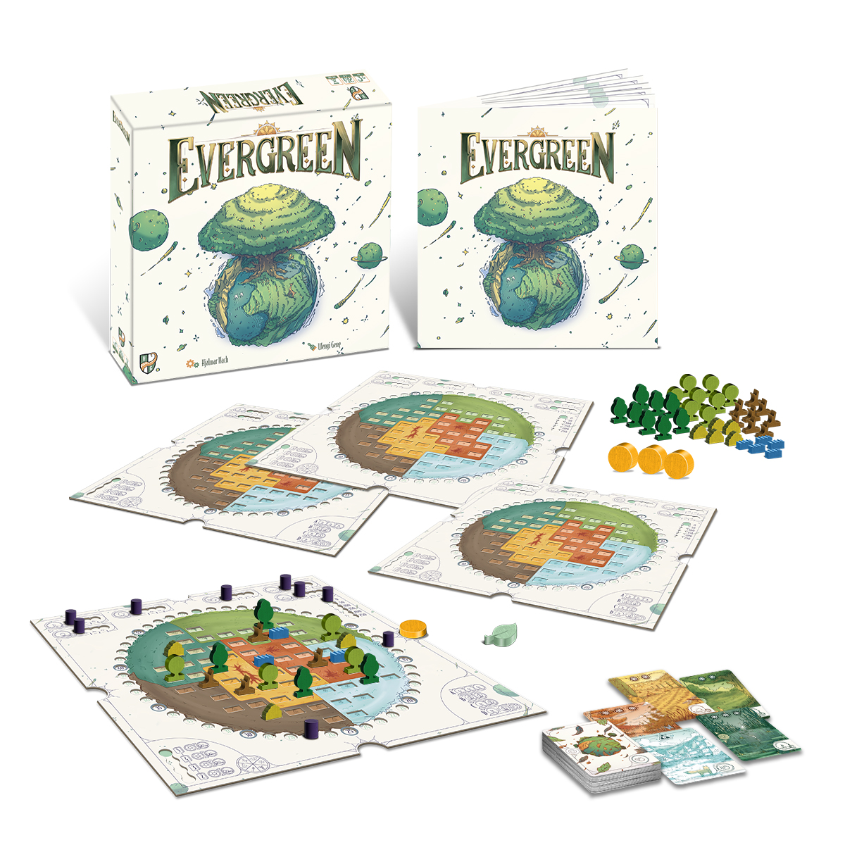 [한국어판] [일반 판매] 에버그린